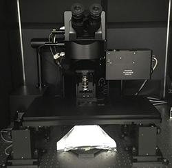 Olympus Multiphoton FV MPE RS Apollo System